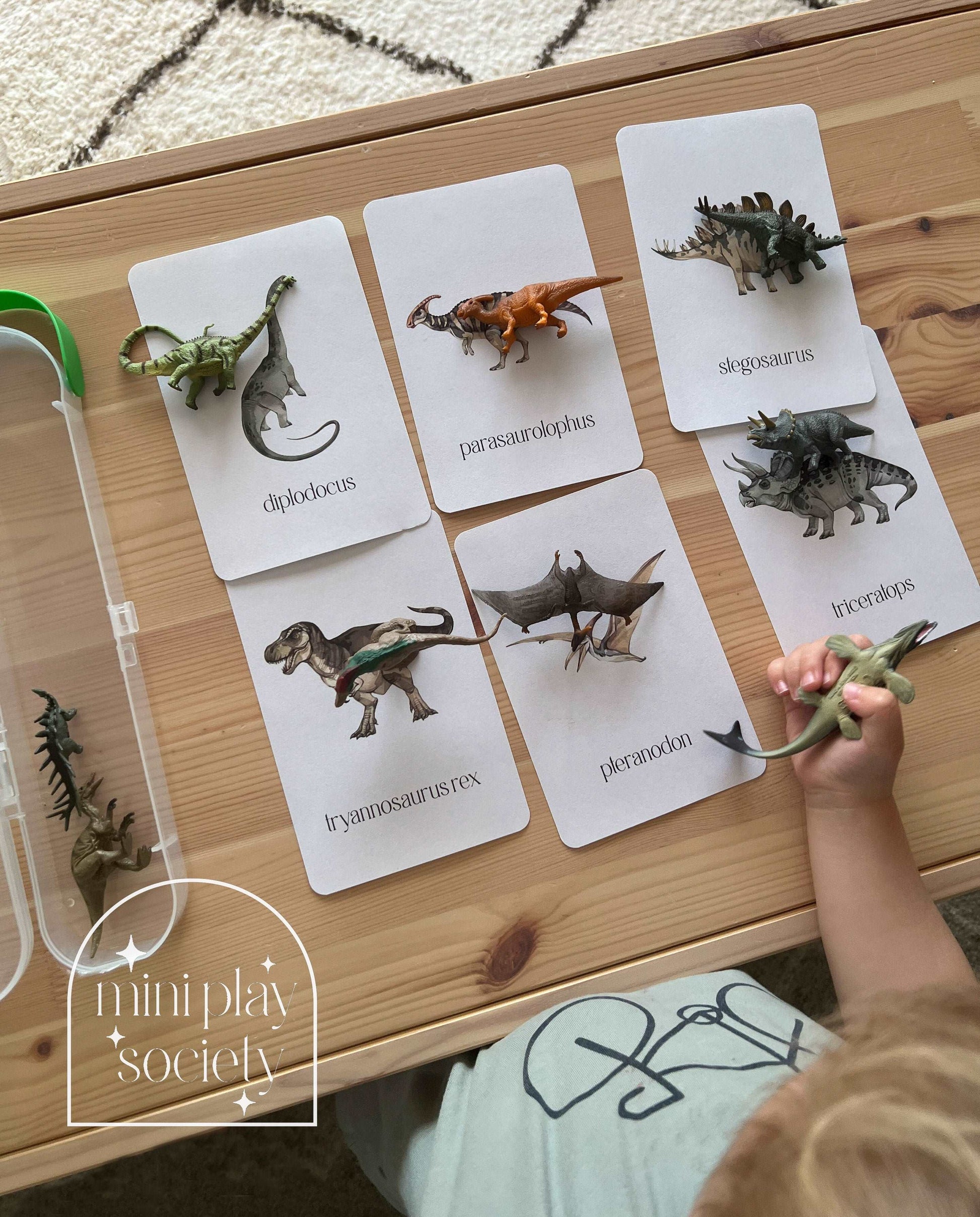 Printable Dinosaur Flash Card Set