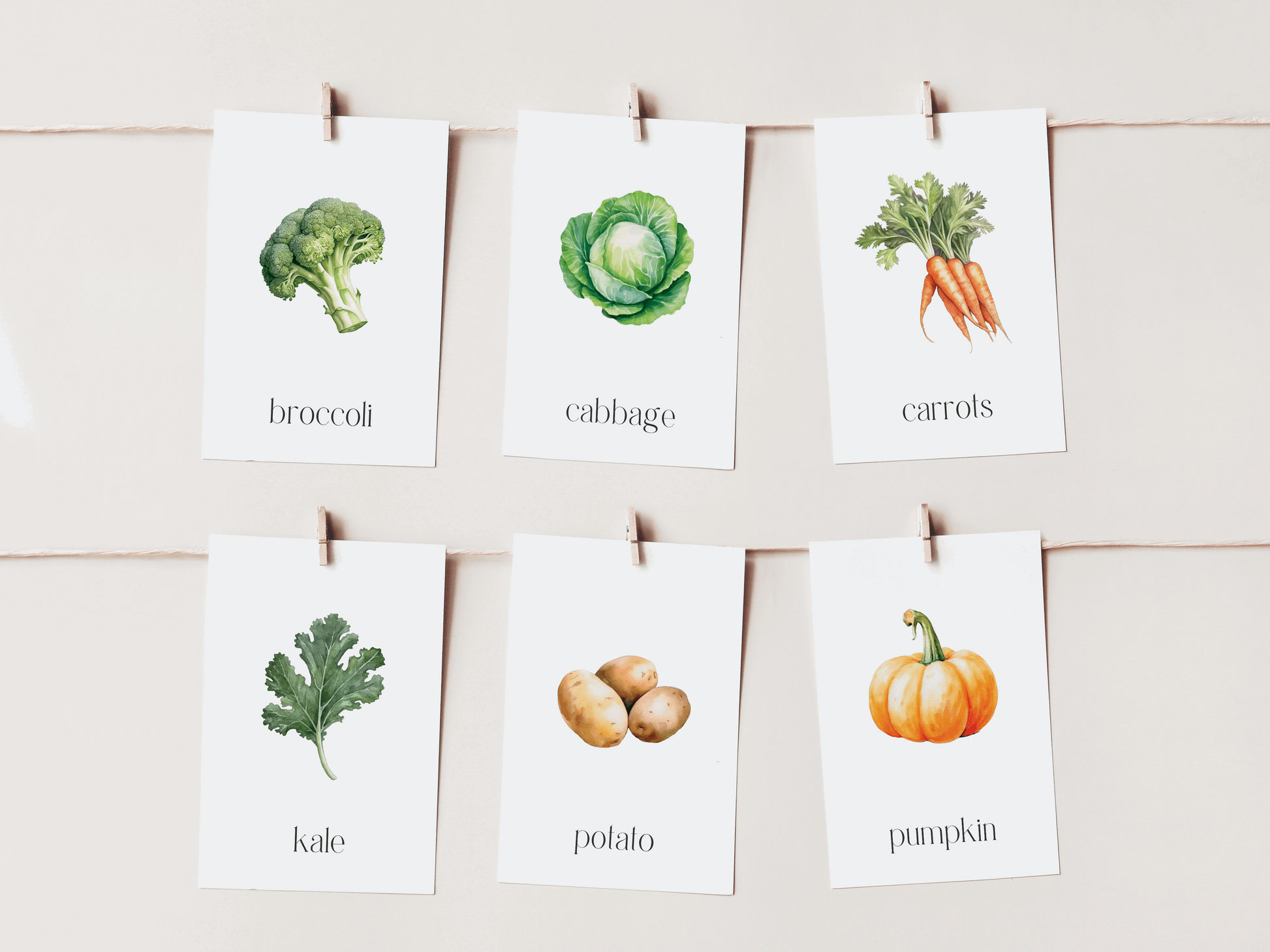 Printable Vegetable Flash Card Set