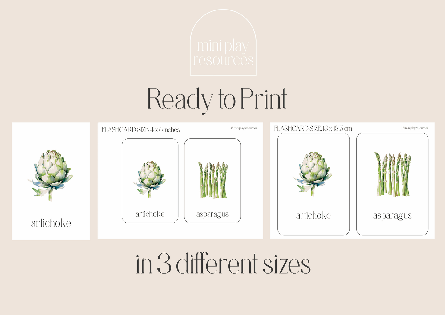 Printable Vegetable Flash Card Set